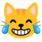 Gatto Con Lacrime Di Gioia