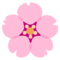 Fiore Di Ciliegio