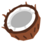 Cocco