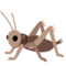 Grillo