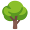Albero Deciduo