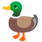 Anatra