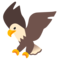 Aquila