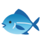 Pesce