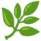 Pianta