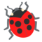 Coccinella