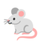 Topo