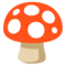 Fungo