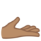 Mano Con Il Palmo In Su: Carnagione Media