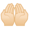Mani Unite In Alto: Carnagione Chiara