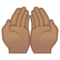 Mani Unite In Alto: Carnagione Media