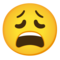 Faccina Esausta