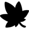 Foglia D’Acero