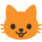 Muso Di Gatto