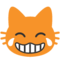 Gatto Con Lacrime Di Gioia