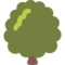 Albero Deciduo
