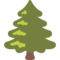 Albero Sempreverde