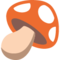 Fungo
