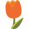 Tulipano