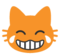 Gatto Con Lacrime Di Gioia