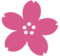 Fiore Di Ciliegio