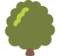 Albero Deciduo
