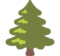 Albero Sempreverde
