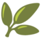 Pianta