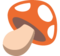 Fungo