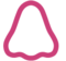 Naso