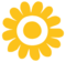 Girasole