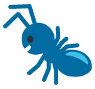 Ant