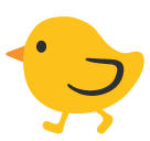 Baby Chick