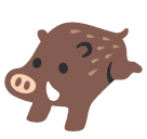 Boar