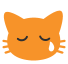 Crying Cat