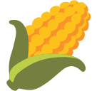 Ear of Corn