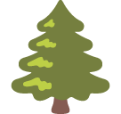 Evergreen Tree