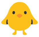 Front-Facing Baby Chick