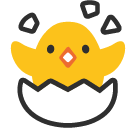 Hatching Chick
