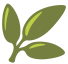 Herb