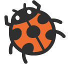 Lady Beetle
