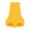 Nose