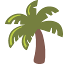 Palm Tree