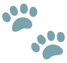 Paw Prints