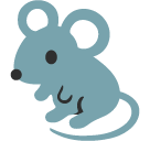 Rat