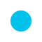 Record Button