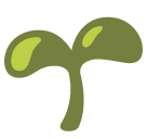 Seedling