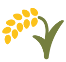 Sheaf of Rice