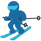 Skier