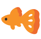 Tropical Fish